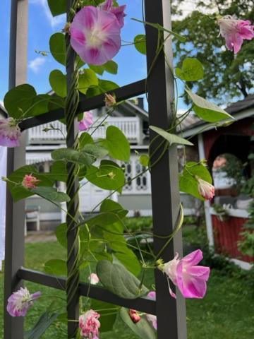 Hotelli Kaivo Naantali Zewnętrze zdjęcie
